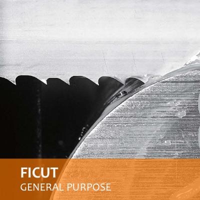 Lưỡi Cưa Vòng FICUT